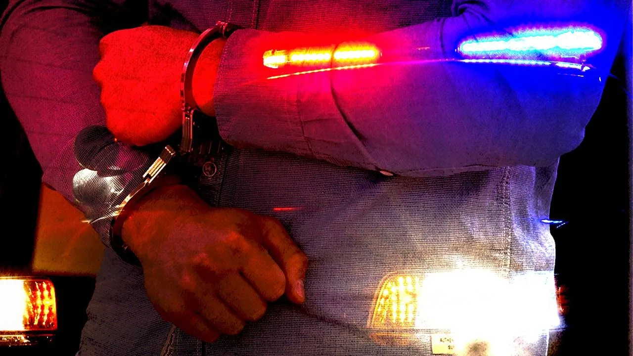 İzmir ve çevre illerde suç örgütüne yönelik geniş çaplı operasyon