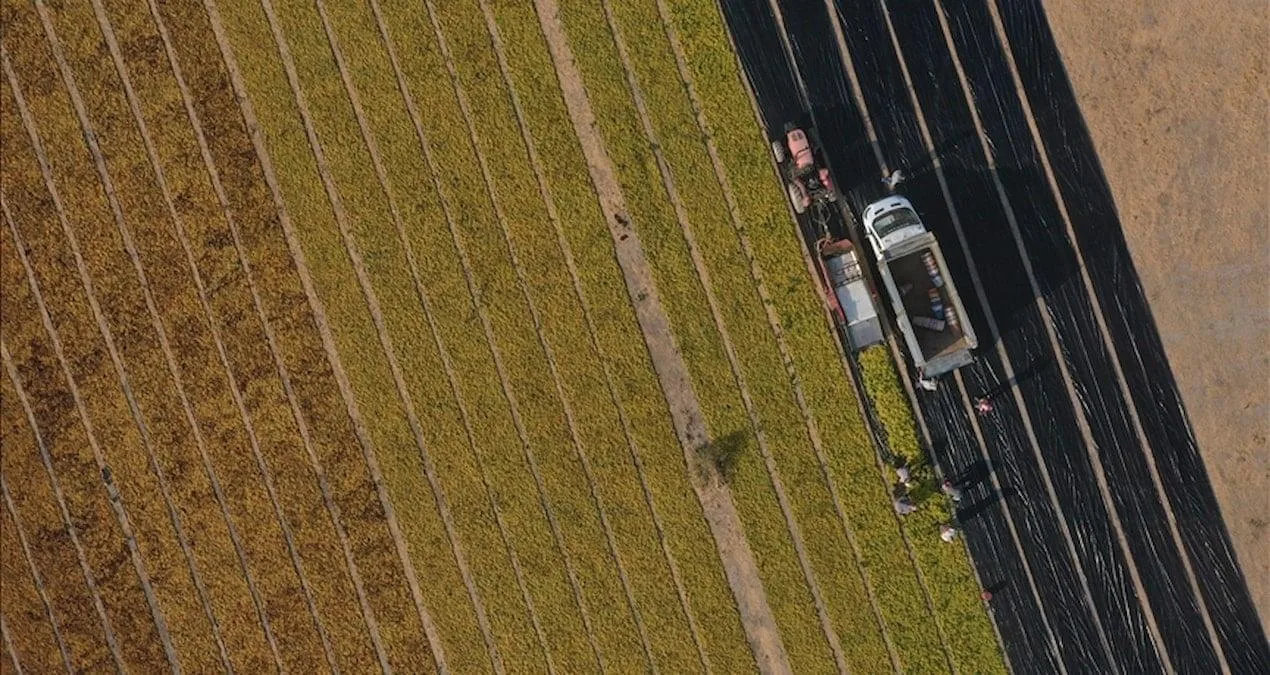 Tarıma Yönelik Hazine Destekli Kredilerde Yeni Şartlar: 5 Soruda Merak Edilenler