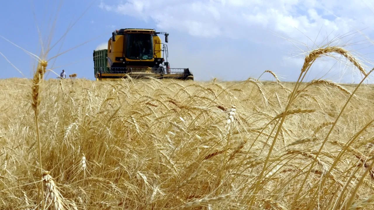 Çiftçilere 12,3 milyar liralık destek ödemesi yarın yapıldı