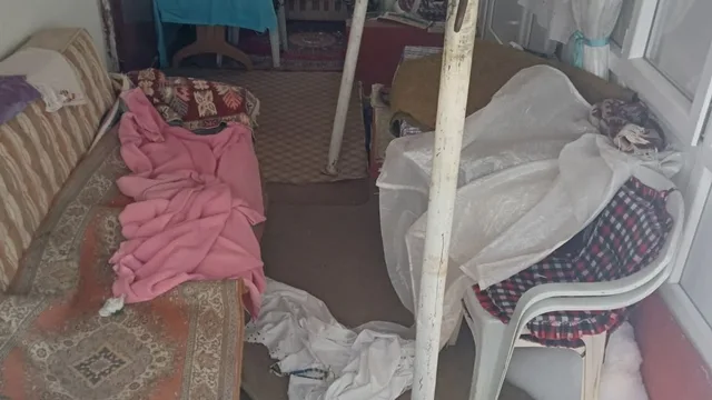 Giresun'da ayılar yayla evlerine girmeye başladı: Maddi hasar oluştu