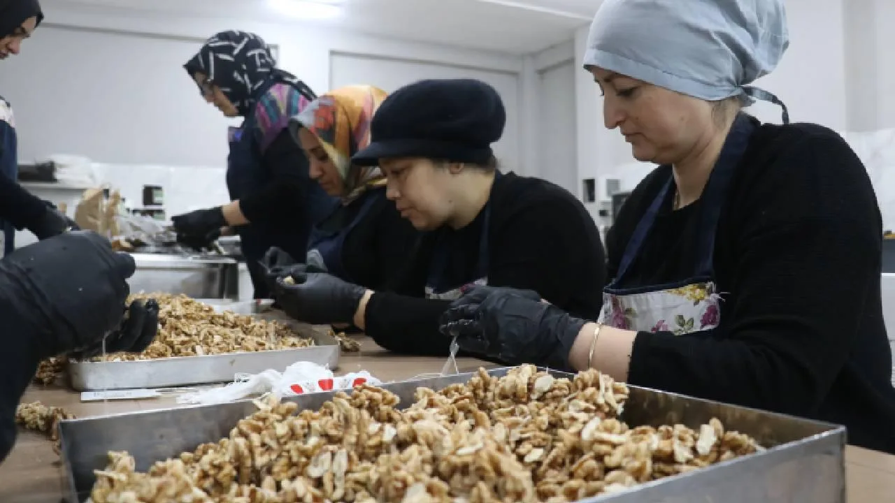 KOSGEB destekleriyle KOBİ'lerde teknoloji ve ihracat ivme kazanıyor