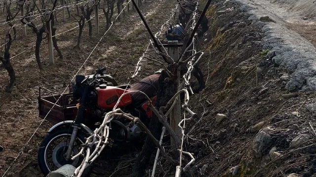 Manisa'da sepetli motosiklet devrildi: 70 yaşındaki sürücü hayatını kaybetti