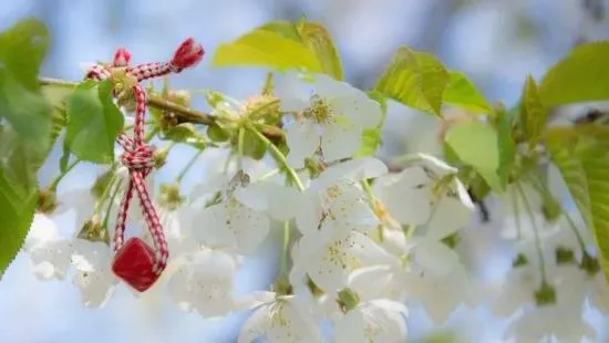 Marteniçka ne zaman çıkarılır ve çıkarma ritüeli nasıldır?