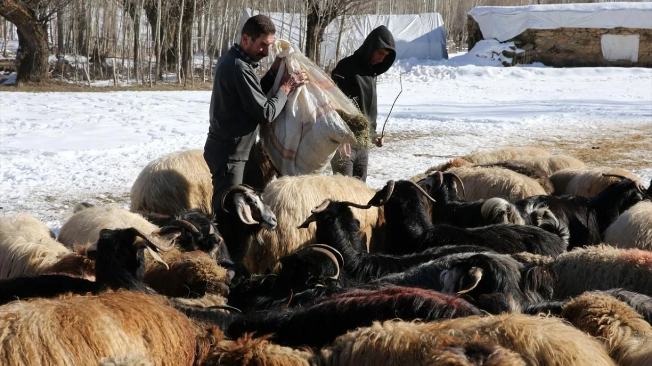 Yerel Kalkınma Hamlesi teşvik başvuruları ekonomiyi hareketlendiriyor