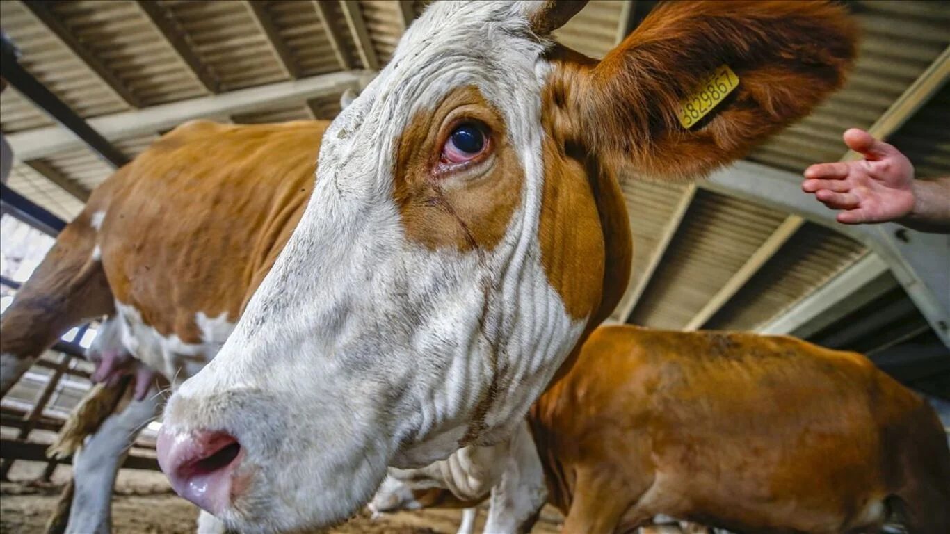 Kurban Bayramı tatili kaç gün?