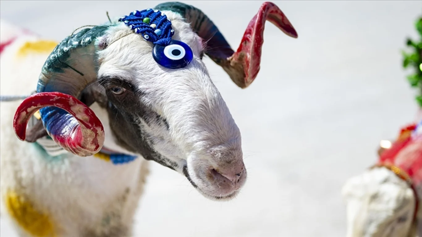 Kurban Bayramı tatili kaç gün?