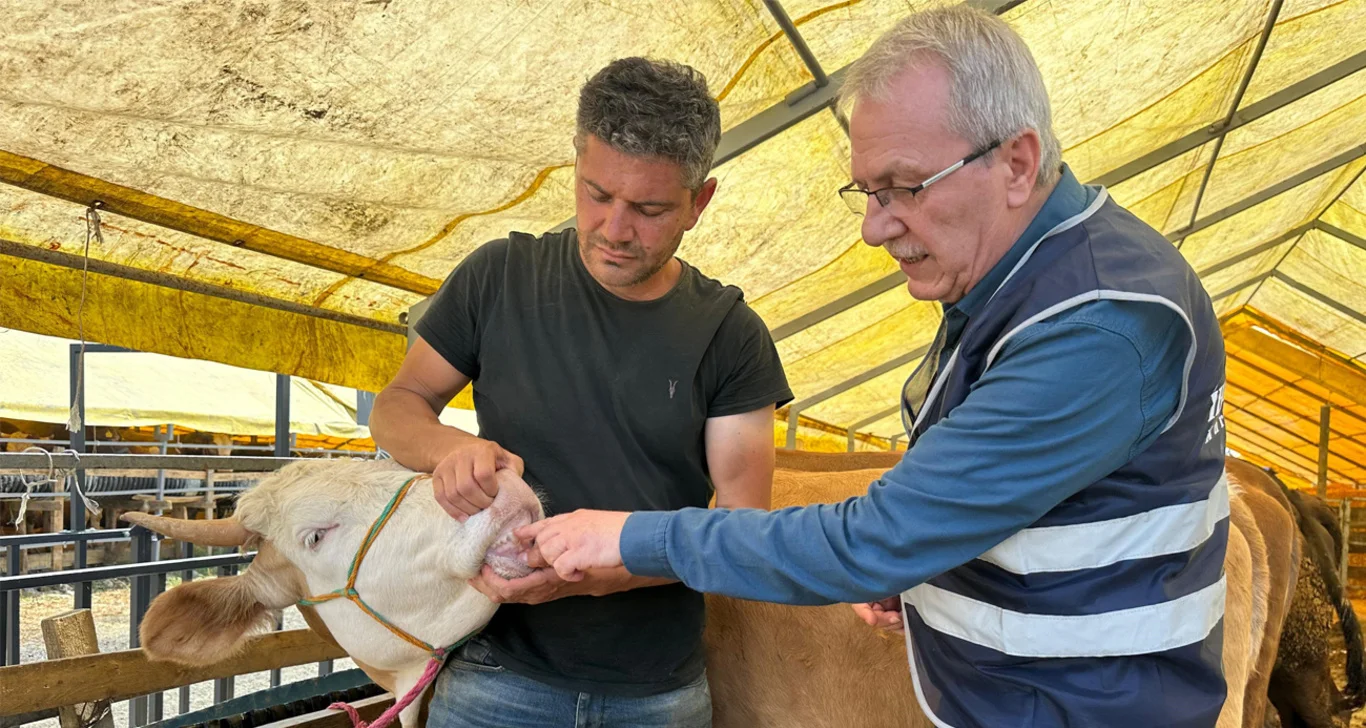 Kurban Bayramı ne zaman?