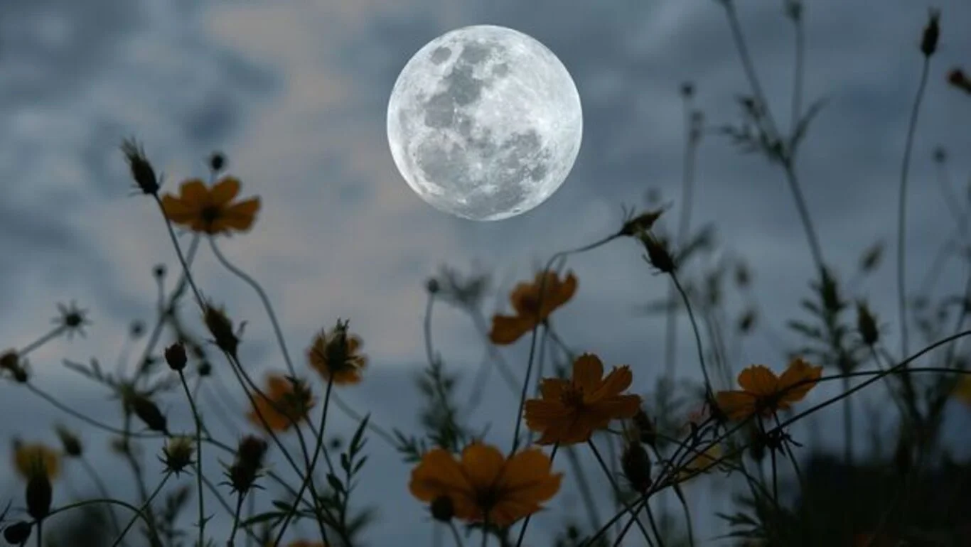 Mayıs dolunayının burçlara etkisi