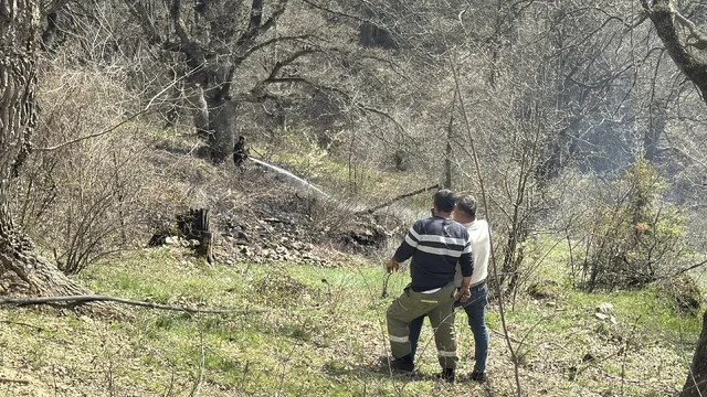 Bolu'da çöp alanındaki otluk yangını ormana sıçramadan söndürüldü