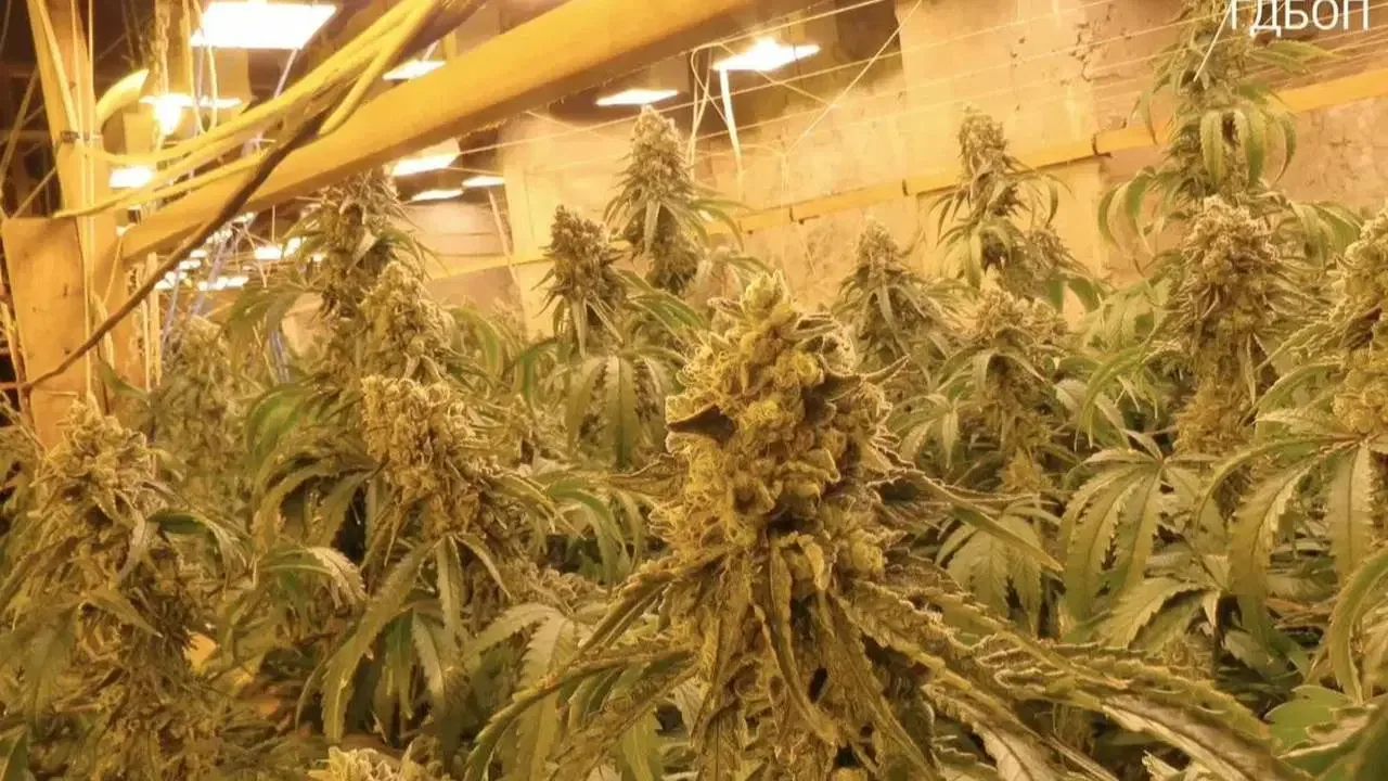 Eski maden ocağında uyuşturucu üretimi ortaya çıkarıldı