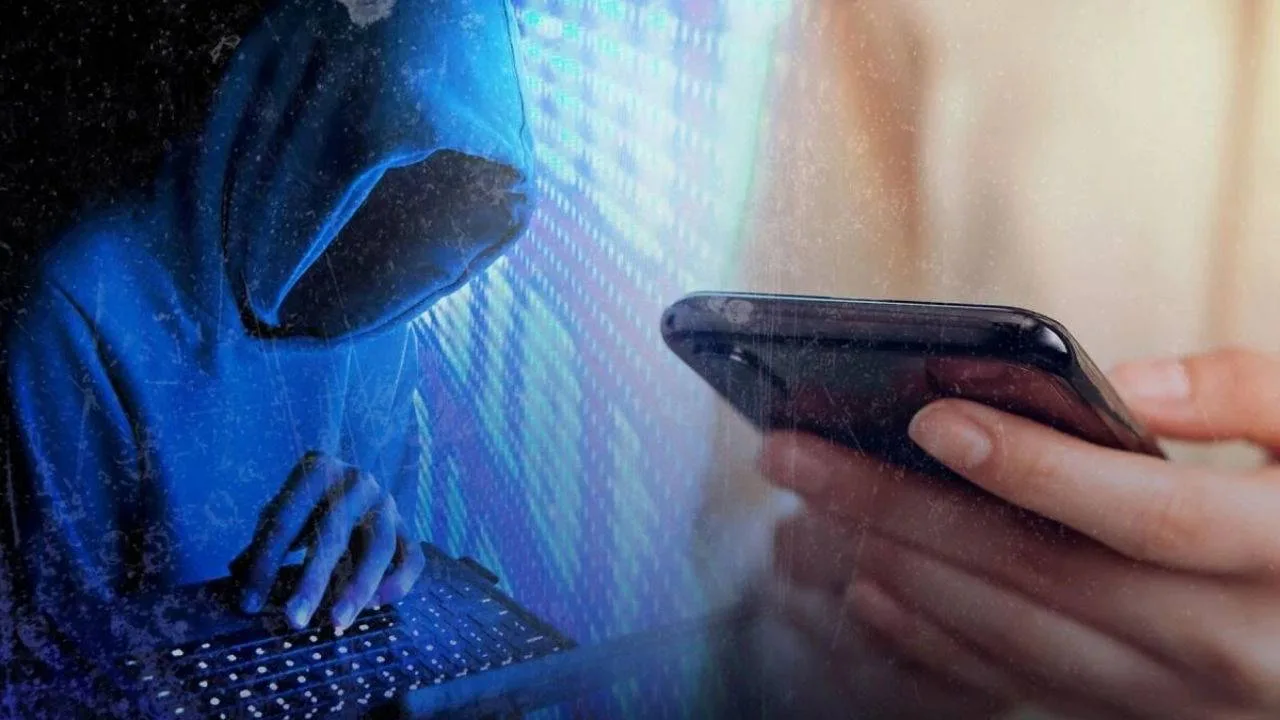 C31K nedir? C31K grubunun amacı ne? C31K açılımı ne?