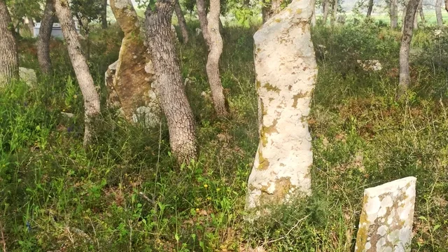 Çanakkale'de Tarihi Baba Adilhan Şehitliği Yeniden Hayat Buluyor