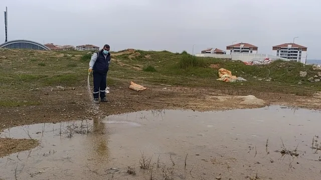 Edirne'de sivrisinek, turizm ve üstyapı çalışmaları sürüyor