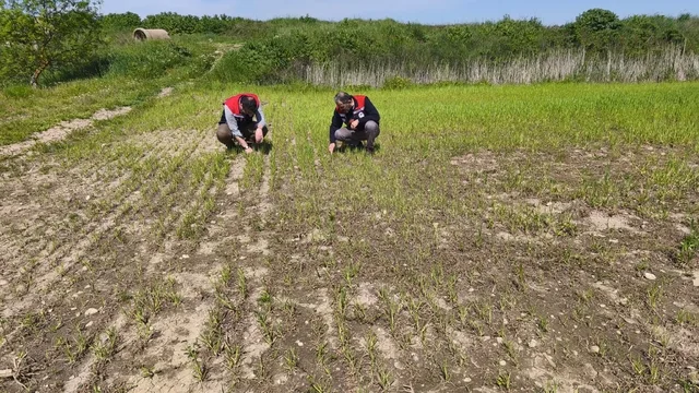 Edirne'de su baskını hasarı tespit edildi