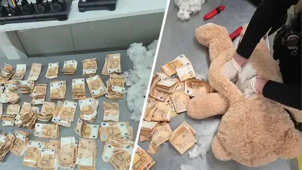 Şüpheli dikişler ele verdi: Oyuncak ayının içinden servet çıktı