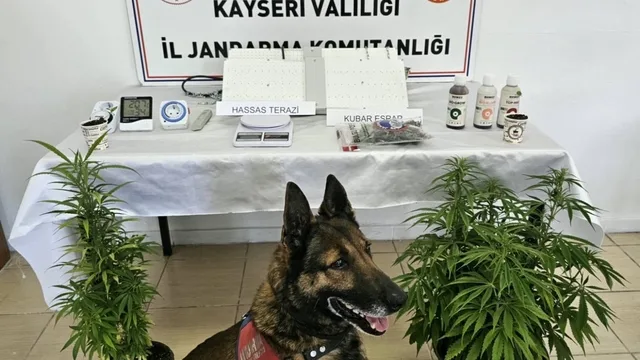 Kayseri'de evde uyuşturucu imalathanesi çıktı: 1 şüpheli yakalandı