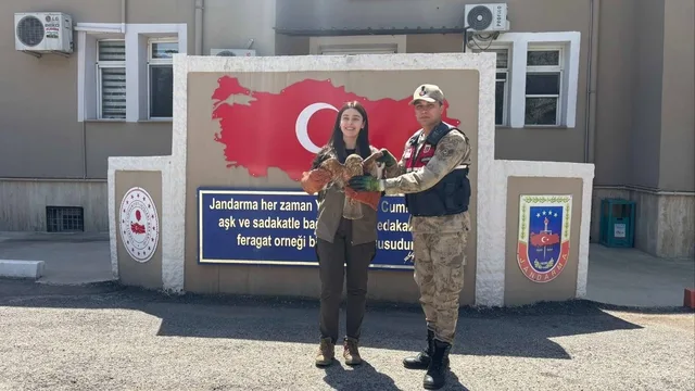 Kilis'te Yol Kenarında Bulunan Kızıl Şahin Koruma Altına Alındı