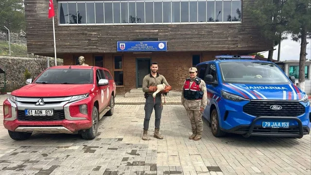 Kilis'te yol kenarında bulunan yaralı leylek koruma altına alındı