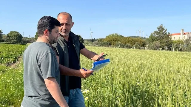 Muğla Datça'da Tarım Arazilerinde Üretim Planlaması Kontrolü Yapıldı