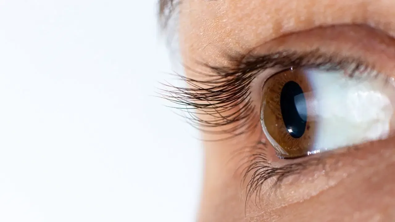 Tıp dünyasında yeni dönem: Yaklaşan ölümü haber veren '24 saat' testi