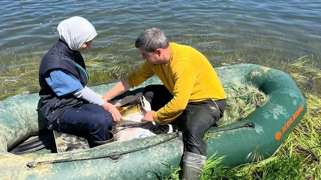 Tekirdağ Hayrabolu'da Mezarlıkta Define Kazısı ve Kaçak Avcılığa Darbe
