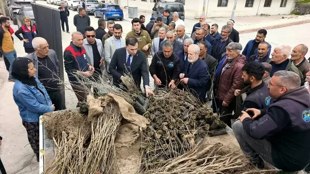 Tunceli Çemişgezek'te 800 fidan toprakla buluştu