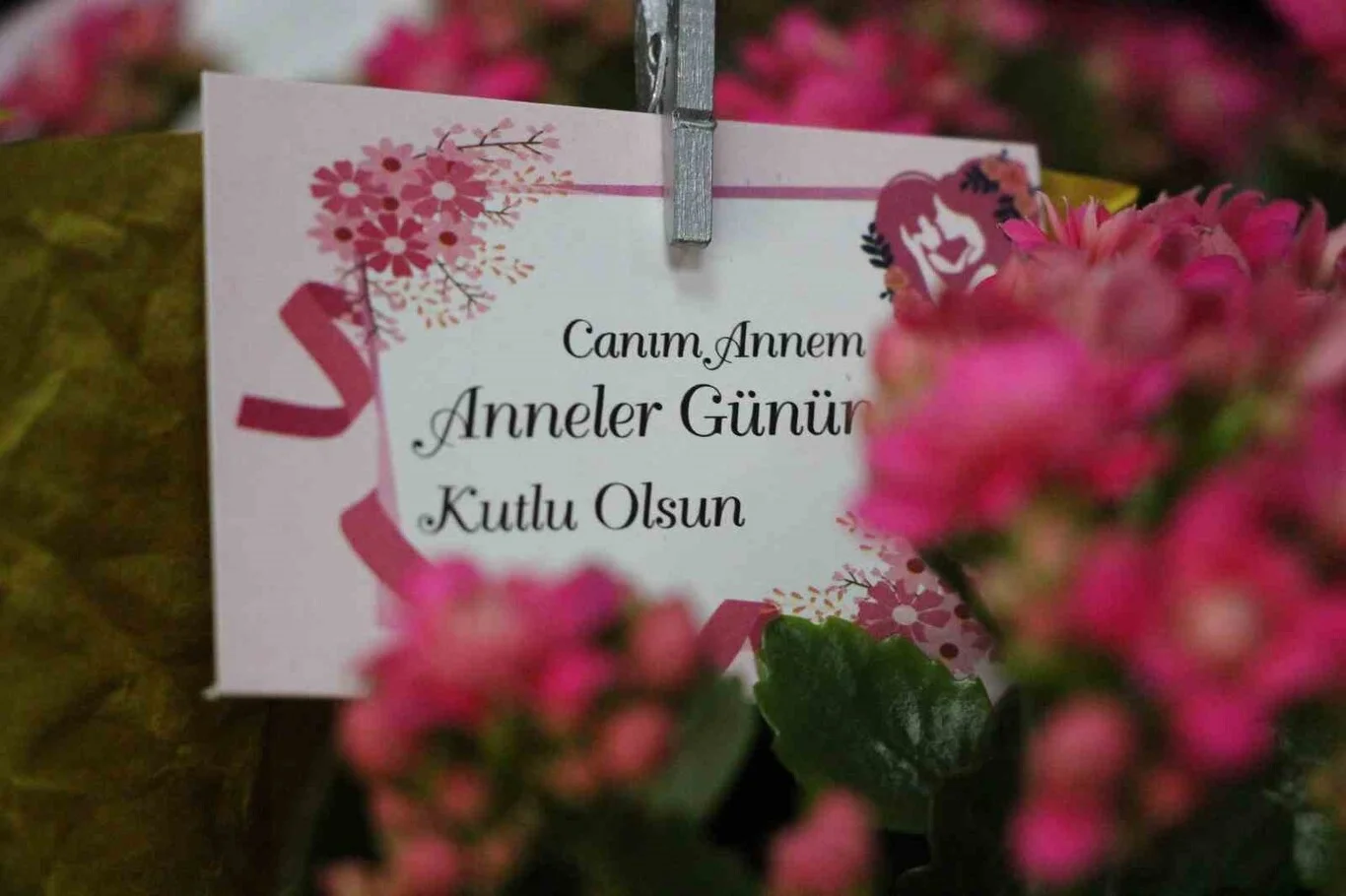 Anneler günü ne zaman?
