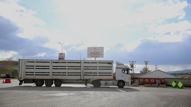 Erzurum'da Kurbanlık Hayvanlar Sıkı Kontrolden Geçiyor
