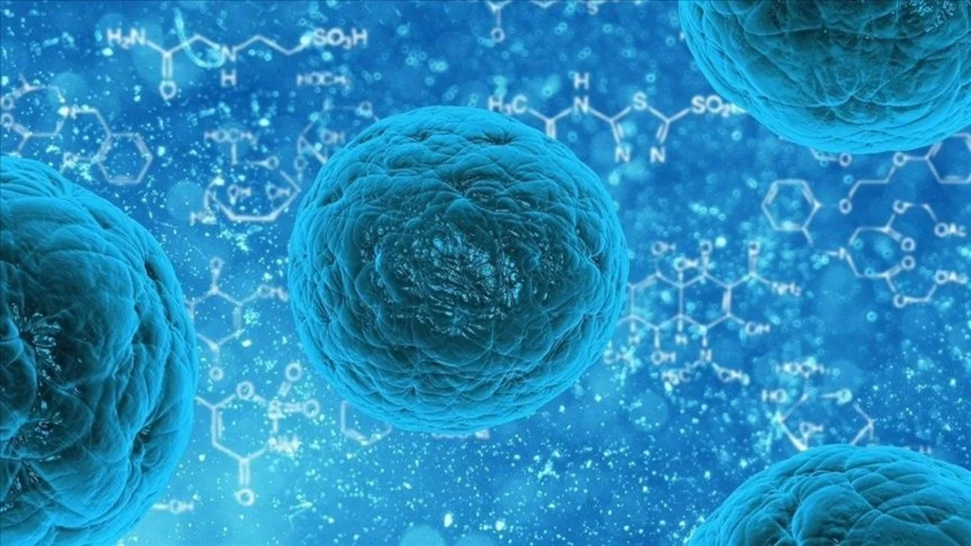 Norovirüs nedir?