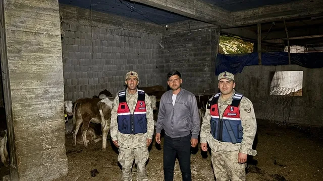Kilis'te Kaybolan 13 Büyükbaş Hayvan Jandarmadan Kaçamadı