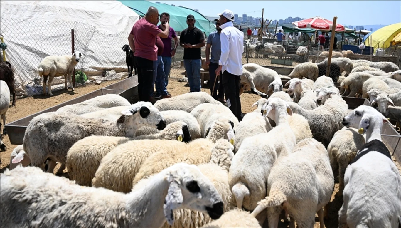 Kurban kesiminde okunacak dualar