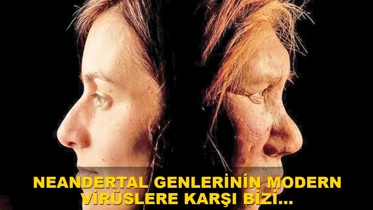 İnsanlığın kadim mirasında sinsi tehlike: Neandertal genleri modern virüslere karşı bizi savunmasız bırakıyor!