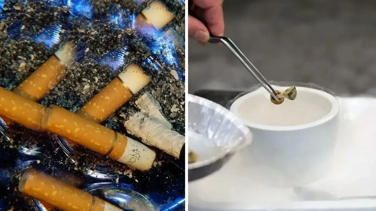 'Sihirli' mantarlar sigarayı bırakmaya yardımcı olabilir mi?