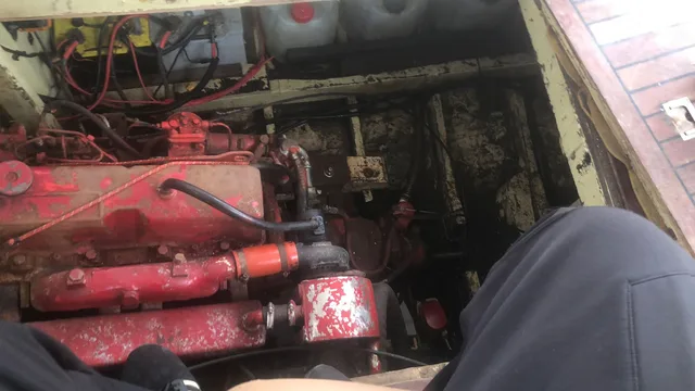Yalova Çınarcık'ta tekne motoruna sıkışan kediler itfaiyece kurtarıldı