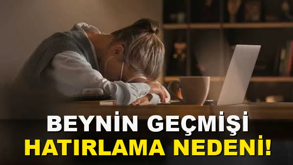Beynin Geçmişi Hatırlama Nedeni!