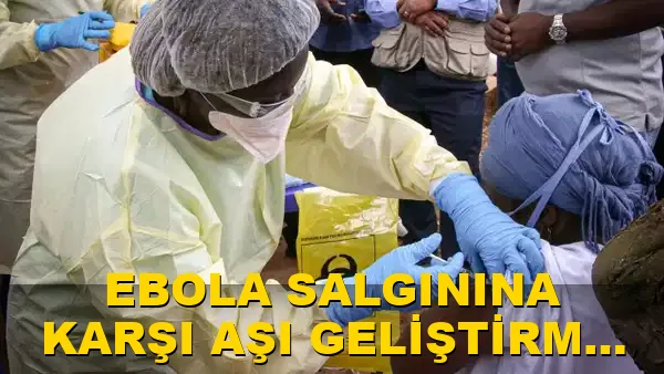 Ebola Salgınına Karşı Aşı Geliştirme Yarışında son durum!