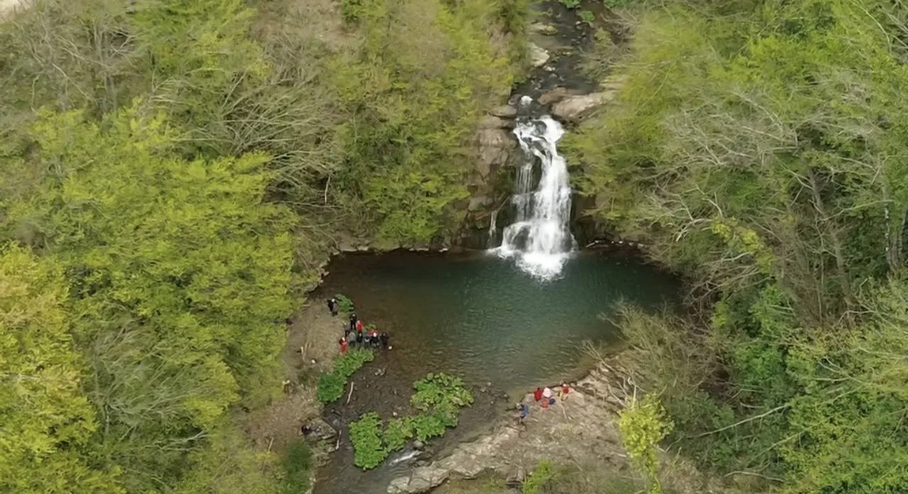 Bartın’da saklı bir hazine: Gölderesi Şelalesi ilkbahar rengiyle büyüledi!