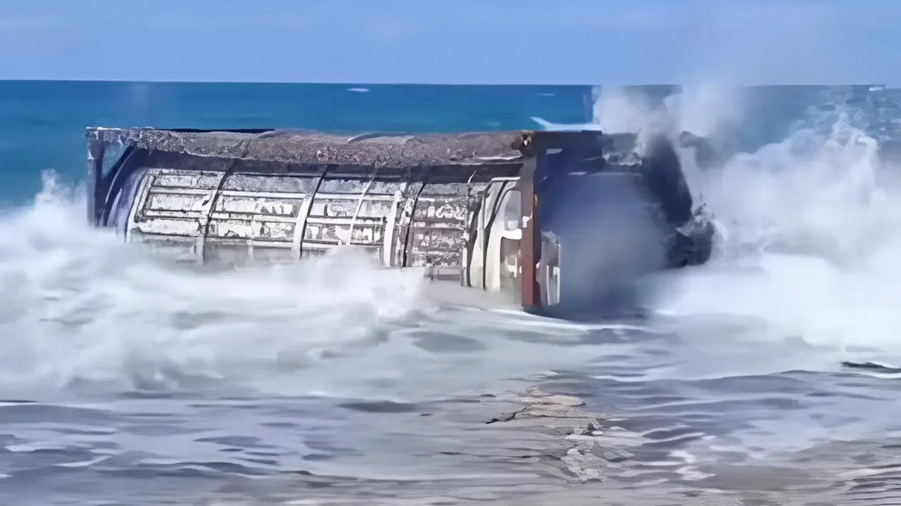 Mısır sahillerinde panik: 