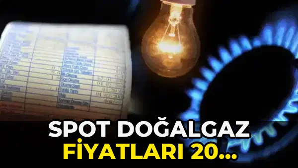 Spot Doğalgaz fiyatları 20 Haziran'da belirlendi!