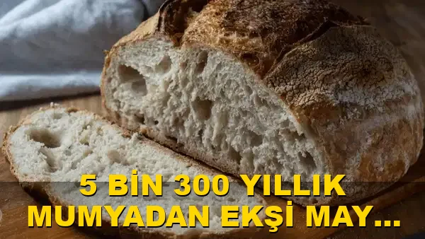 5 bin 300 yıllık mumyadan ekşi maya ekmeği üretildi