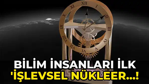 Bilim İnsanları İlk 'işlevsel Nükleer…!