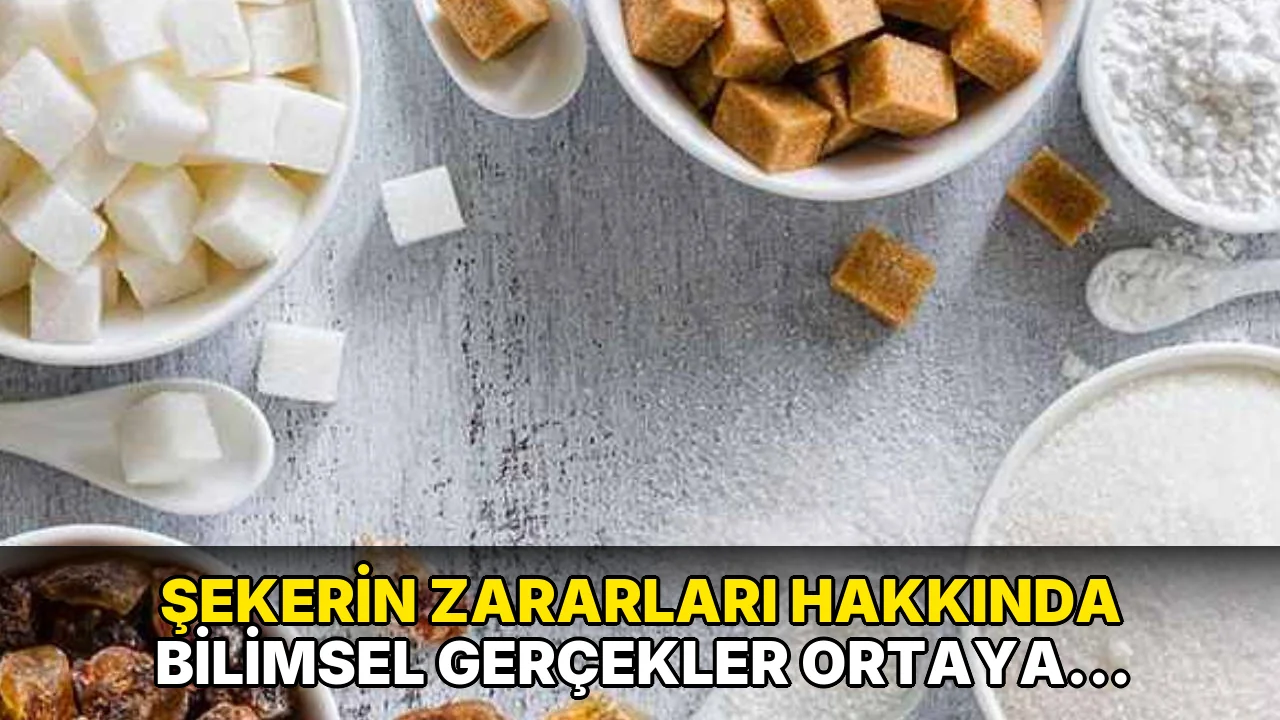 Şekerin Zararları Hakkında Bilimsel Gerçekler Ortaya Çıktı!