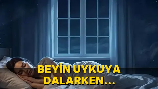 Beyin Uykuya Dalarken Beklenmedik Şekilde Çalışıyor!