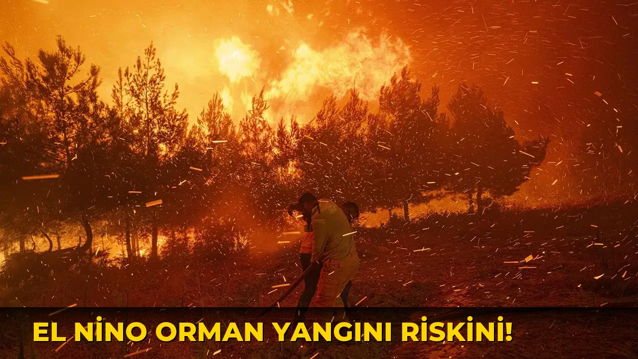El Nino Orman Yangını Riskini!