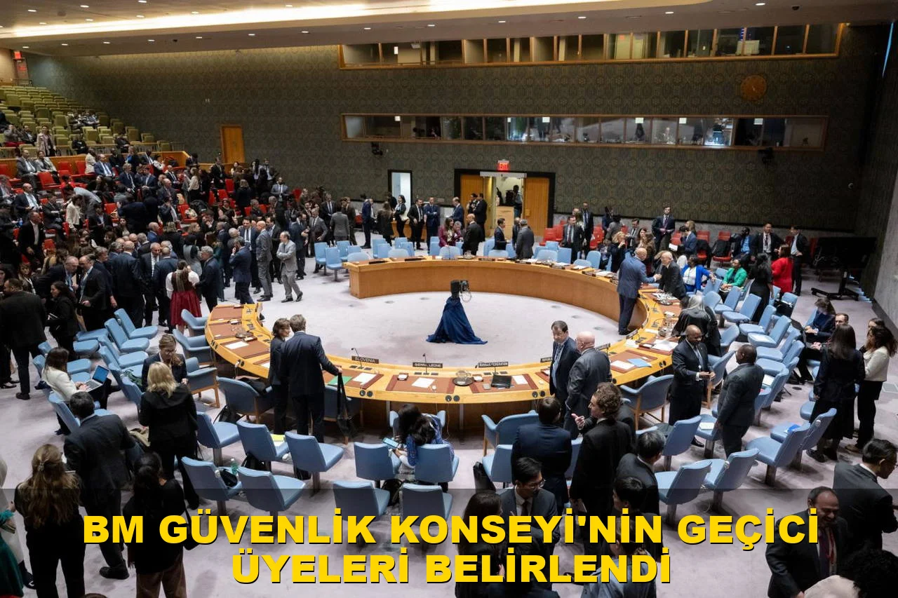 BM Güvenlik Konseyi'nin Geçici Üyeleri Belirlendi