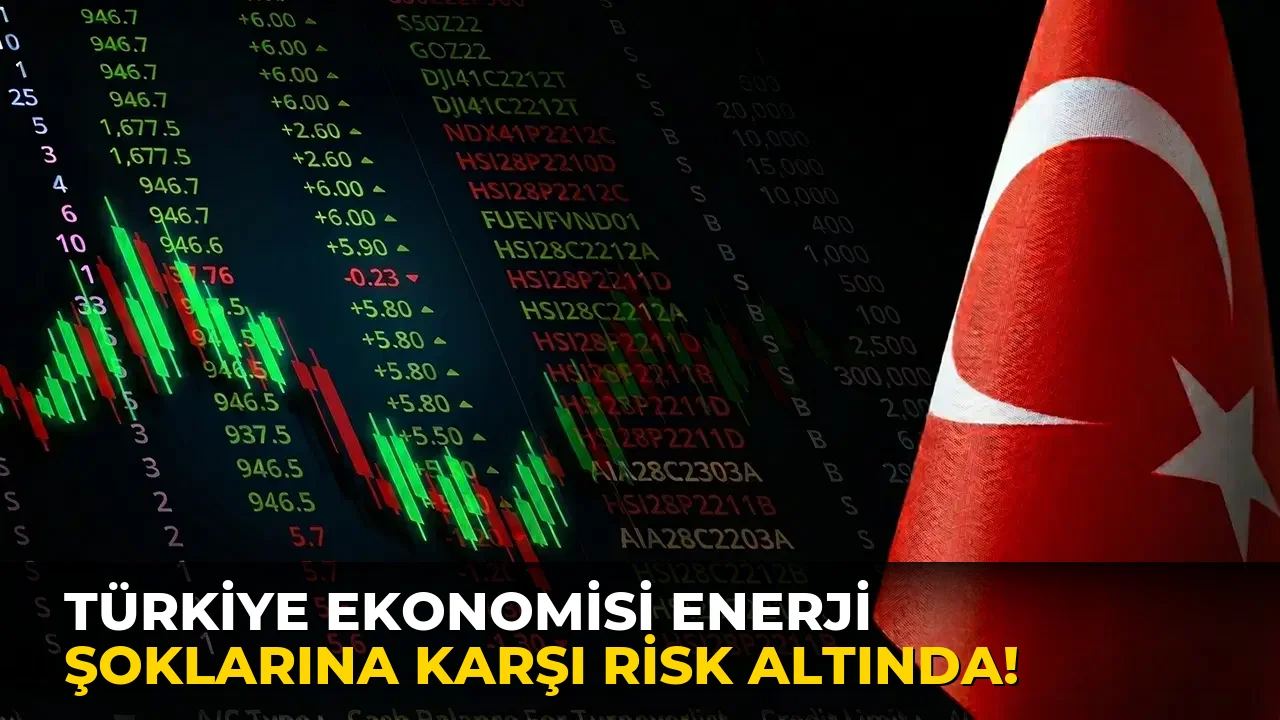 Türkiye Ekonomisi Enerji Şoklarına Karşı Risk Altında!