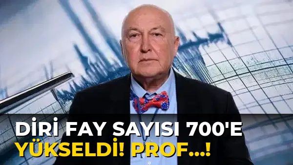 Diri Fay Sayısı 700'e yükseldi! Prof…!