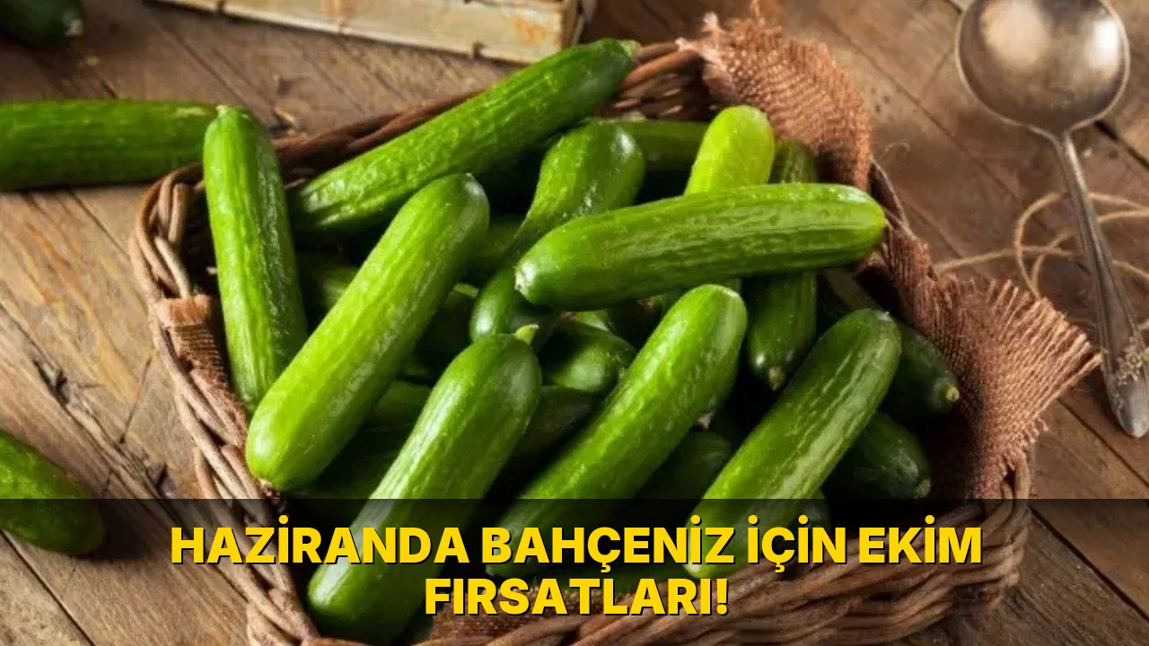 Haziranda Bahçeniz için Ekim Fırsatları!