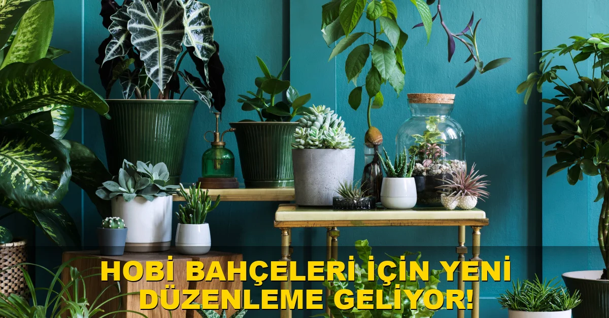 Hobi bahçeleri için yeni düzenleme geliyor!