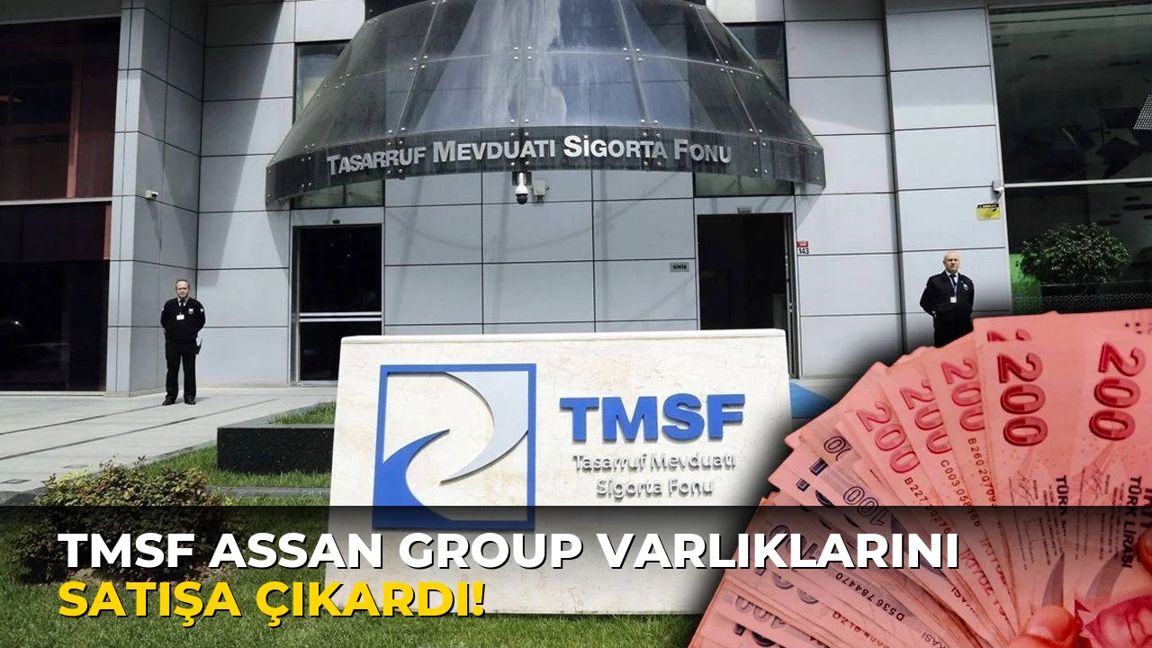 Tmsf Assan Group Varlıklarını Satışa Çıkardı!